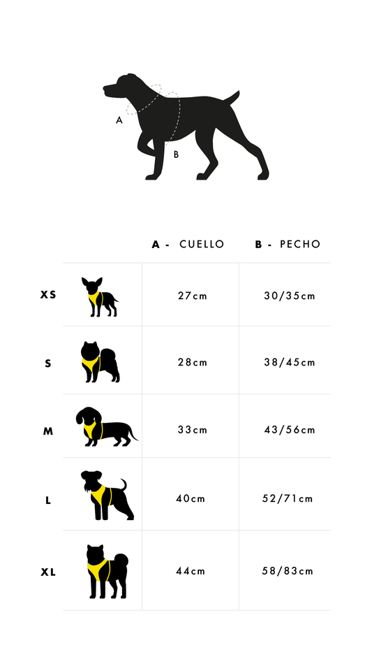 Arnés reversible Berry Love DUKIER para perros – neopreno y malla transpirable