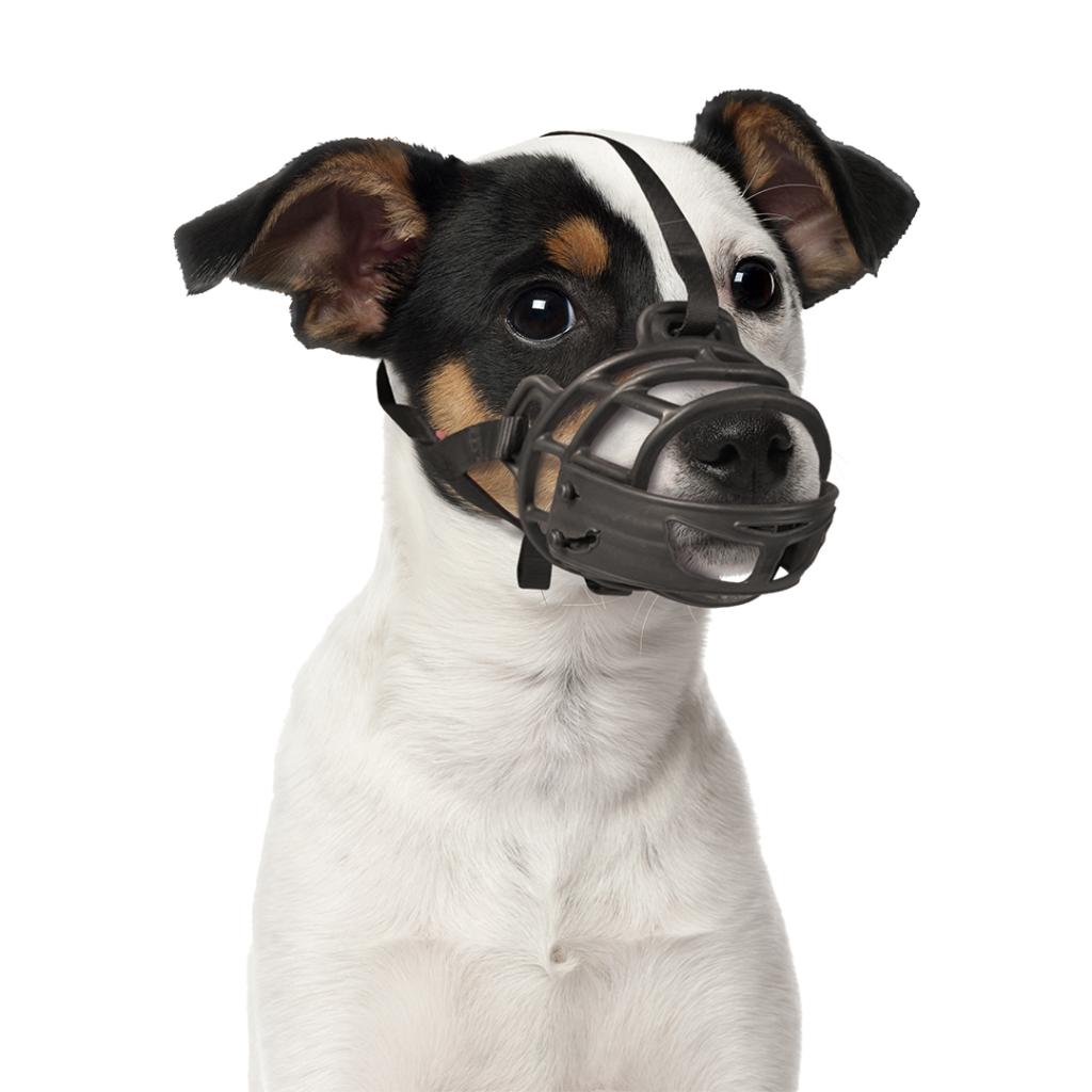 Bozal de goma Duvo ajustable con acolchado y frontal abatible para perros