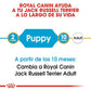ROYAL CANIN Jack Russel PUPPY 3 kg