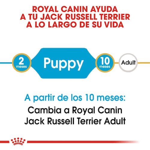 ROYAL CANIN Jack Russel PUPPY 3 kg Gabo&Gordo Pet Shop en Las Palmas de Gran Canaria tienda para mascotas, perros, gatos, conejos, tortugas, animales