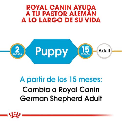ROYAL CANIN RAZA PASTOR ALEMÁN PUPPY Gabo&Gordo Pet Shop en Las Palmas de Gran Canaria tienda para mascotas, perros, gatos, conejos, tortugas, animales