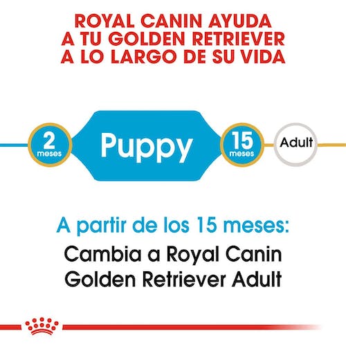 ROYAL CANIN  GOLDEN RETRIEVER PUPPY 12 kg Gabo&Gordo Pet Shop en Las Palmas de Gran Canaria tienda para mascotas, perros, gatos, conejos, tortugas, animales