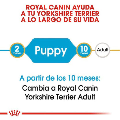 ROYAL CANIN Yorkshire Terrier Puppy. Gabo y Gordo E Shop, la mejor tienda online en Gran Canaria, las Islas Canarias, España, tienda online para mascotas, perros, gatos, conejos, tortugas, animales, accesorios para mascotas en general. 
Gabo y Gordo E Shop in Gran Canaria, Canary Islands, the best store for pets, dogs, cats, rabbits, turtles, animals, pet accessories.