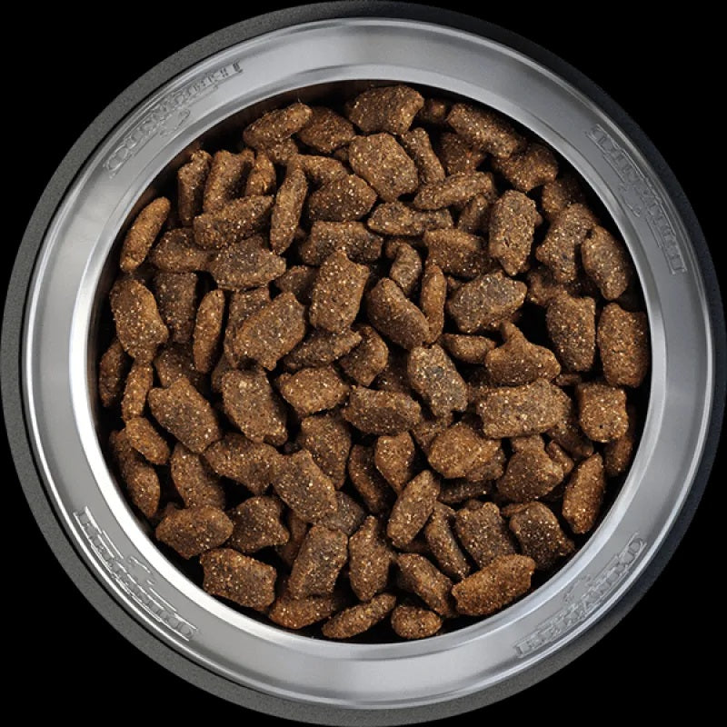 BELCANDO Mastercraft Fresh Salmon | Pienso con carne fresca de salmón sin cereales para perros.  Gabo y Gordo Pet Shop en las Islas Canarias, España, tienda online para mascotas, perros, gatos, conejos, tortugas, animales, accesorios para mascotas en general. 