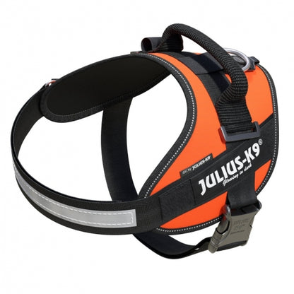 JULIUS K9 IDC Powerharness arnés Naranja para perro Gabo&Gordo Pet Shop en Las Palmas de Gran Canaria tienda para mascotas, perros, gatos, conejos, tortugas, animales, accesorios para mascotas