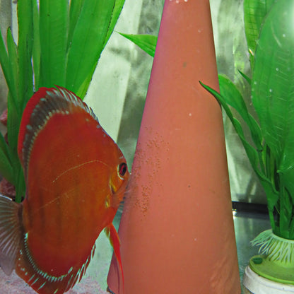 Cono de desove JBL DisCon para peces disco.