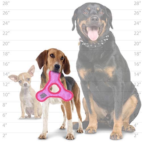 DURA FORCE PARA PERROS JUEGUETE Gabo y Gordo E Shop, la mejor tienda online en Gran Canaria, las Islas Canarias, España, tienda online para mascotas, perros, gatos, conejos, tortugas, animales, accesorios para mascotas en general. 
Gabo y Gordo E Shop in Gran Canaria, Canary Islands, the best store for pets, dogs, cats, rabbits, turtles, animals, pet accessories.