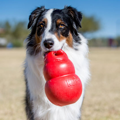 KONG Bounzer Rojo Juguete para perro.  Gabo y Gordo Pet Shop, tienda online en las Islas Canarias, España, tienda online para mascotas, perros, gatos, conejos, tortugas, animales, accesorios para mascotas en general. 