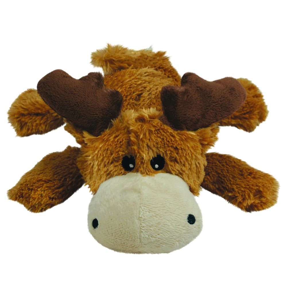 Gabo y Gordo Pet Shop, tienda online en las Islas Canarias, España, tienda online para mascotas, perros, gatos, conejos, tortugas, animales, accesorios para mascotas en general. 