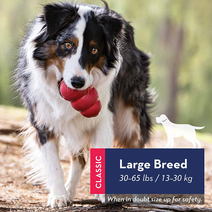 KONG Classic juguete resistente de caucho natural para perros, ideal para masticar, jugar y rellenar con snacks, disponible en Gabo y Gordo E Shop.