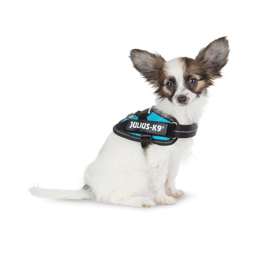 Arnés JULIUS K9 IDC Powerharness color aguamarina, reflectante y ergonómico para perros