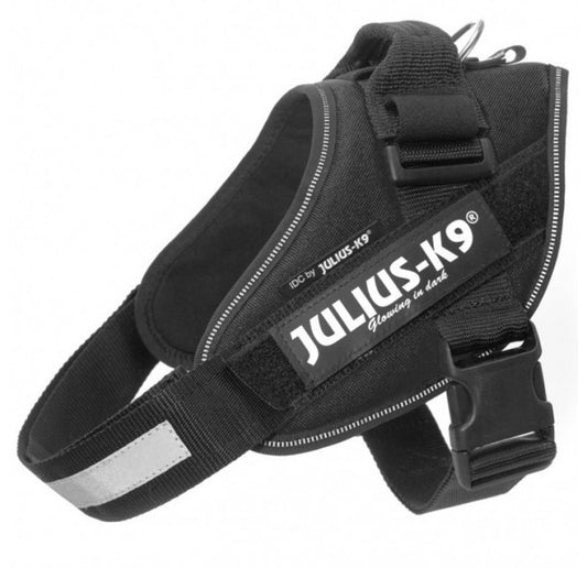 Perro usando arnés JULIUS K9 IDC Powerharness Negro, ergonómico y reflectante