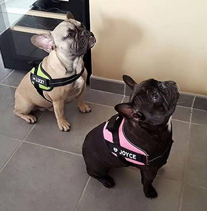 Arnés ajustable JULIUS K9 IDC Powerharness de color rosa para perros.