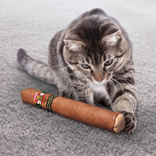 KONG Better Buzz Cigar, juguete con hierba gatera premium para gatos
