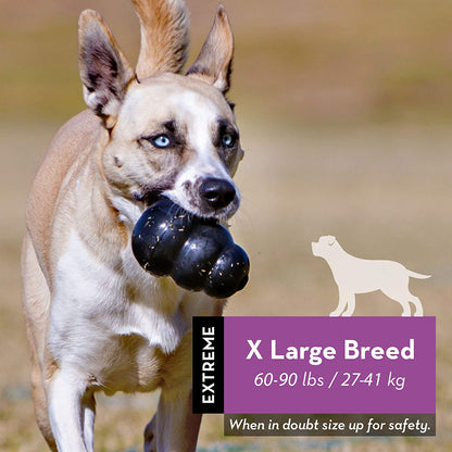 KONG Extreme juguete resistente para perros masticadores fuertes en Gabo y Gordo E Shop