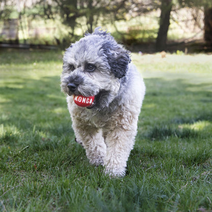Pelotas KONG Holiday Signature Balls talla M pack 2 para perros