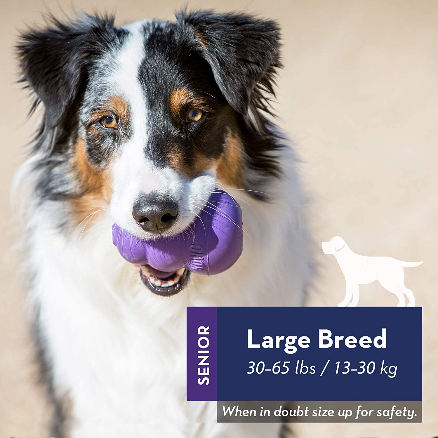 KONG Senior juguete interactivo para perros mayores en Gabo y Gordo E Shop