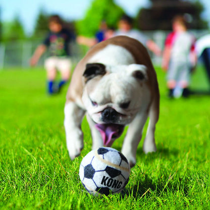 Pelotas deportivas KONG Sport Balls para juegos de buscar y traer con perros.