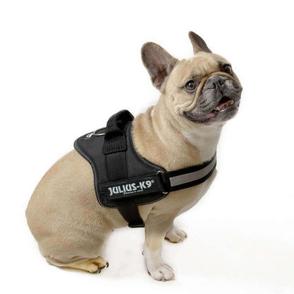 JULIUS K9 IDC Powerharness arnés Negro para perro Gabo&Gordo Pet Shop en Las Palmas de Gran Canaria tienda para mascotas, perros, gatos, conejos, tortugas, animales, accesorios para mascotas