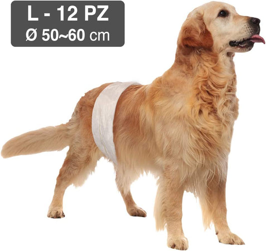 Pañales para perro macho Nayeco – Pack 12 unidades – Tallas S a XL
