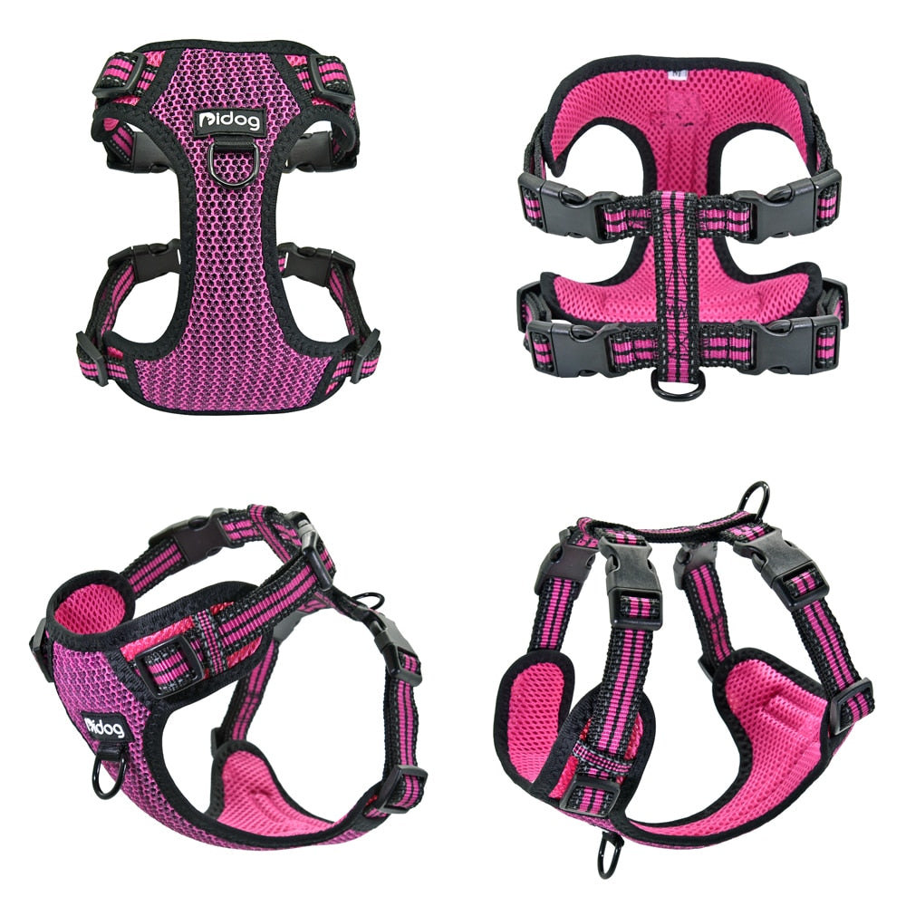 ÁRNES ANTI-TIRONES REFLECTIVE PARA PERRO en mejor tienda online en las Islas Canarias, España, tienda online para mascotas, perros, gatos, conejos, tortugas, animales, accesorios para mascotas en general. 
Gabo y Gordo E Shop in Canary Islands, the best store for pets, dogs, cats, rabbits, turtles, animals, pet accessories.