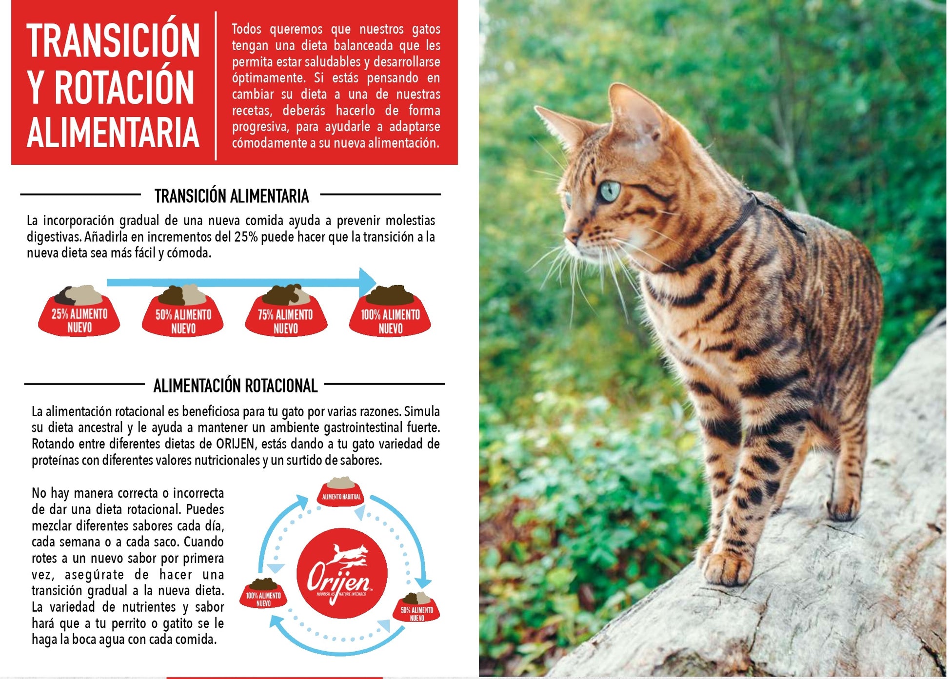 Pienso ORIJEN Original Cat natural sin cereales para gatos adultos