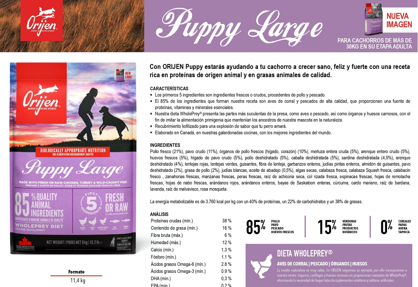 Pienso ORIJEN Puppy Large natural sin cereales para cachorros de razas grandes