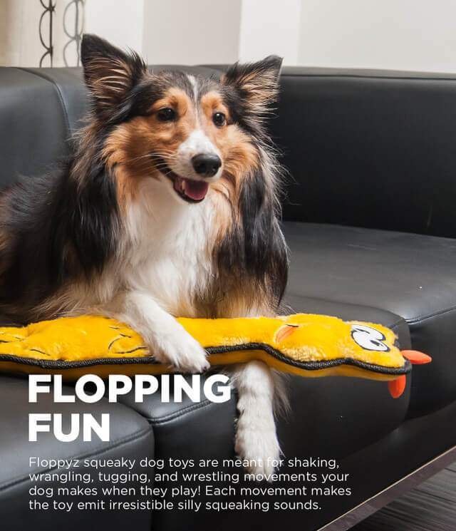 Perro jugando con el juguete de peluche OUTWARD HOUND FLOPPYZ pollo amarillo