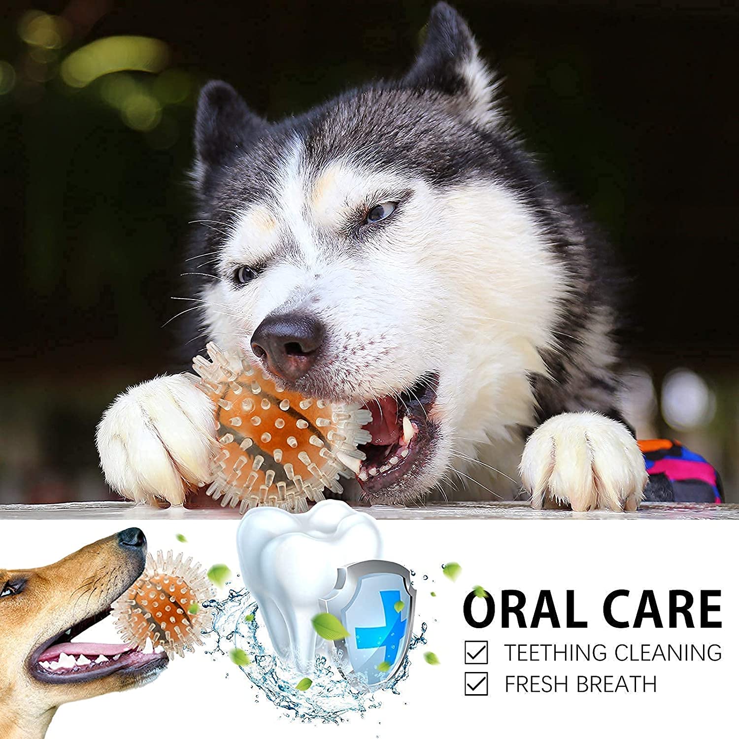 Pelota dental para perros de American Kennel Club