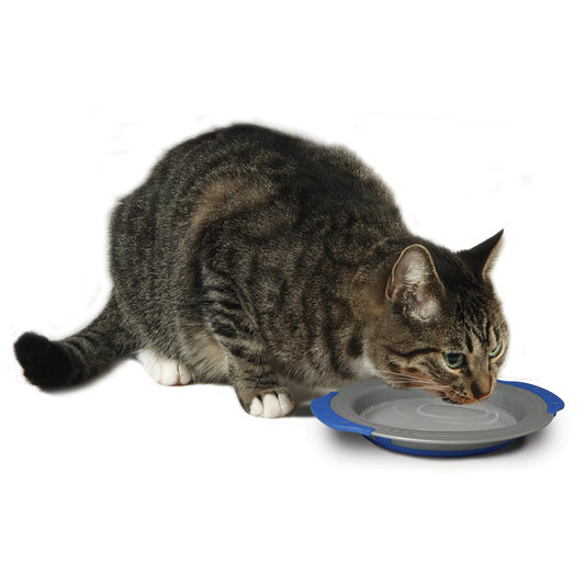Bebedero PETSTAGES Comfort Cat para gatos, plato ancho y ergonómico antibigotes