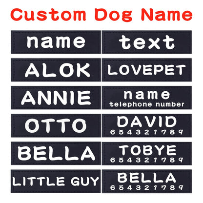 ETIQUETA PERSONALIZABLE PARA ARNESES PARA MASCOTAS en Gabo&Gordo Pet Shop en Las Palmas de Gran Canaria tienda para mascotas, perros, gatos, conejos, tortugas, animales, accesorios para mascotas