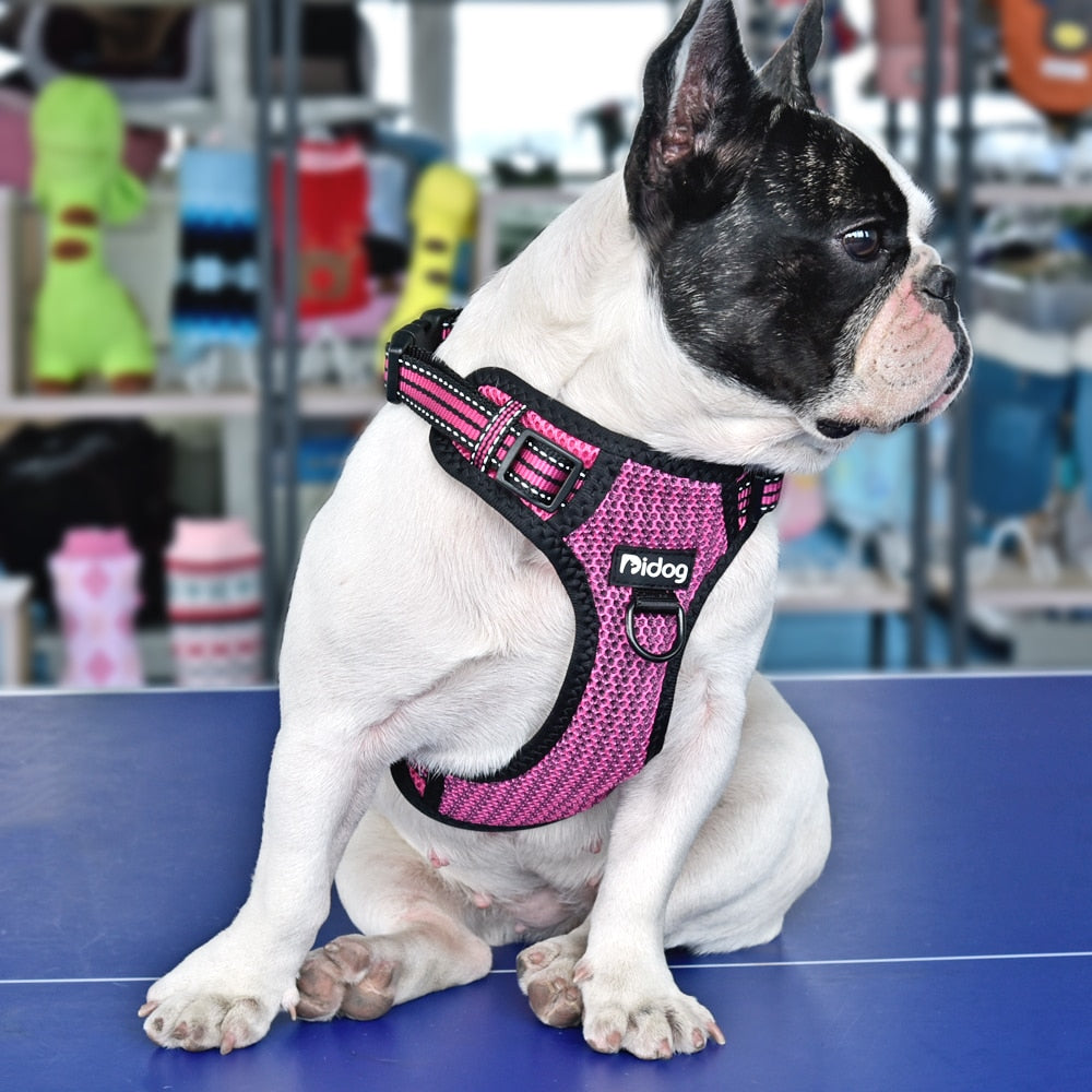 ÁRNES ANTI-TIRONES REFLECTIVE PARA PERRO en Gabo&Gordo Pet Shop en Las Palmas de Gran Canaria tienda para mascotas, perros, gatos, conejos, tortugas, animales