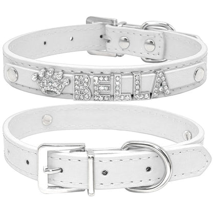 COLLAR DE DIAMANTES PERSONALIZADO PARA PERRO Y GATO Gabo&Gordo Pet Shop en Las Palmas de Gran Canaria tienda para mascotas, perros, gatos, conejos, tortugas, animales, accesorios para mascotas