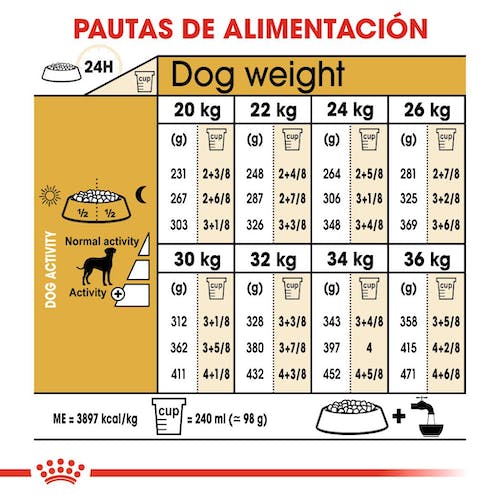 ROYAL CANIN DALMATA ADULTO 12 kg Gabo&Gordo Pet Shop en Las Palmas de Gran Canaria tienda para mascotas, perros, gatos, conejos, tortugas, animales