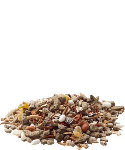 VERSELE LAGA RAT NATURE/ Alimento para ratas natural