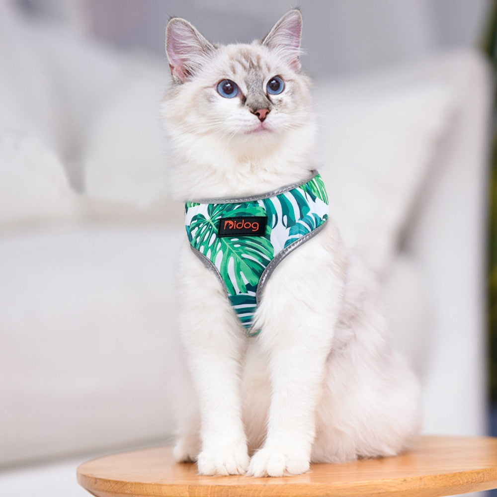 Árnes Tropical Reflectivo en Gabo y Gordo E Shop, la mejor tienda online en las Islas Canarias, España, tienda online para mascotas, perros, gatos, conejos, tortugas, animales, accesorios para mascotas en general. 
Gabo y Gordo E Shop in Canary Islands, the best store for pets, dogs, cats, rabbits, turtles, animals, pet accessories.
