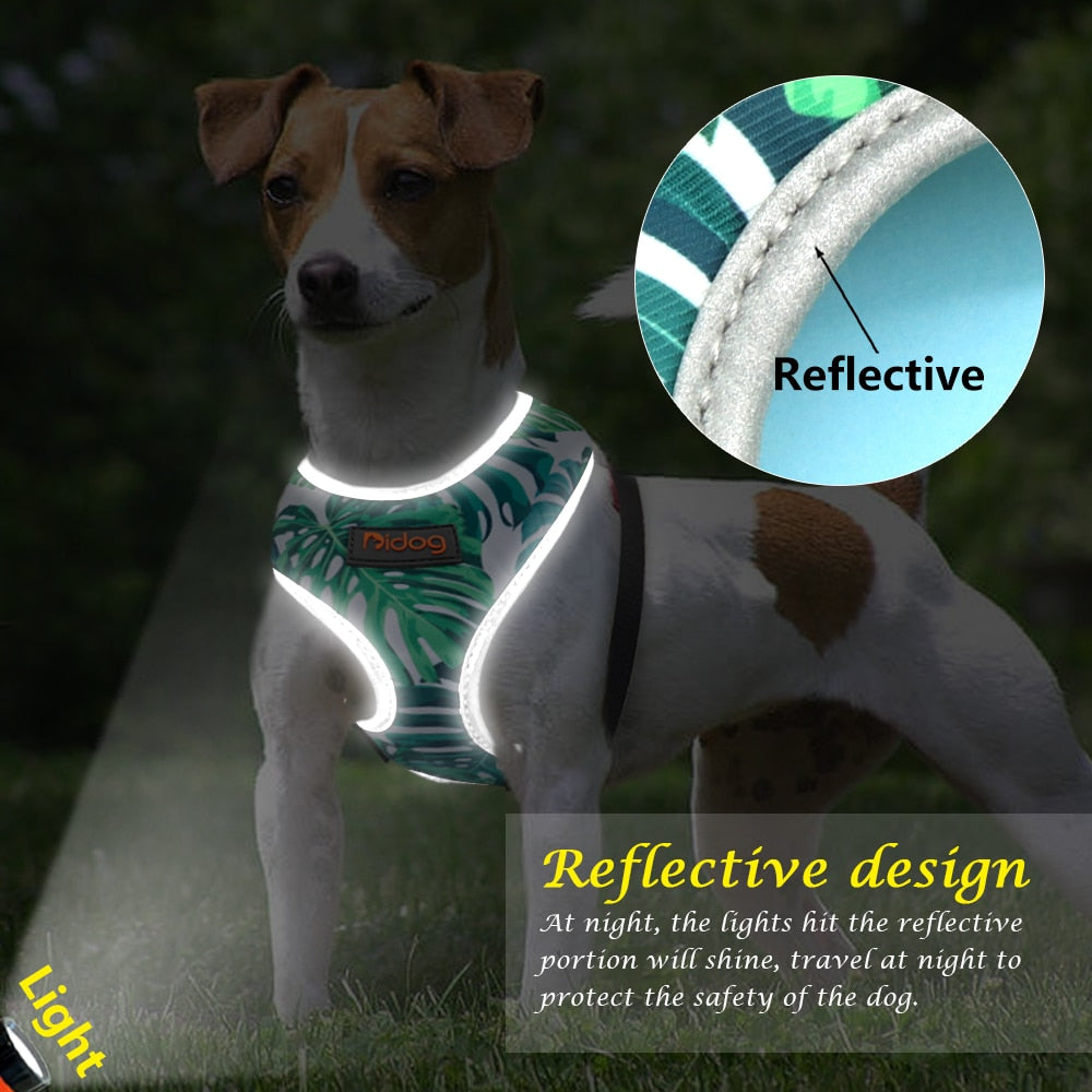 Árnes Tropical Reflectivo PARA PERRO Y GATO en Gabo y Gordo E Shop, la mejor tienda online en las Islas Canarias, España, tienda online para mascotas, perros, gatos, conejos, tortugas, animales, accesorios para mascotas en general. 
Gabo y Gordo E Shop in Canary Islands, the best store for pets, dogs, cats, rabbits, turtles, animals, pet accessories.
