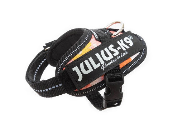 JULIUS K9 IDC Powerharness arnés Rosa Flores para perro Gabo&Gordo Pet Shop en Las Palmas de Gran Canaria tienda para mascotas, perros, gatos, conejos, tortugas, animales, accesorios para mascotas