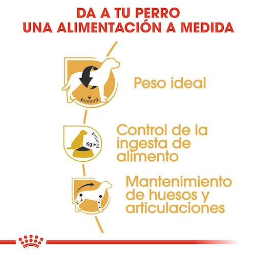 ROYAL CANIN Beagle Adult pienso para perro adulto raza Beagle control de peso