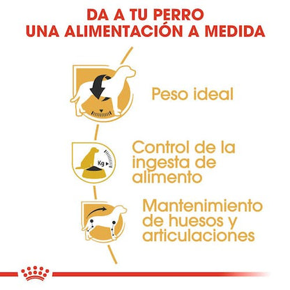 ROYAL CANIN Beagle Adult pienso para perro adulto raza Beagle control de peso