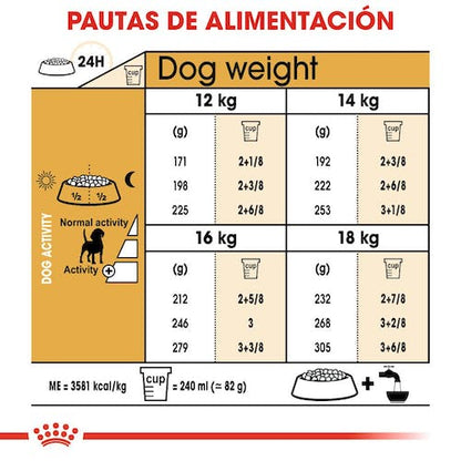 ROYAL CANIN Beagle Adult pienso para perro adulto raza Beagle control de peso