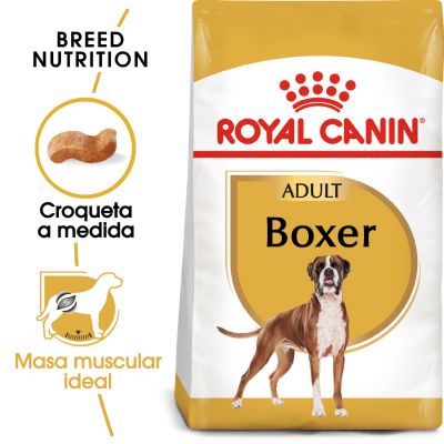 ROYAL CANIN Boxer Adult pienso para perro Boxer adulto salud cardíaca y masa muscular