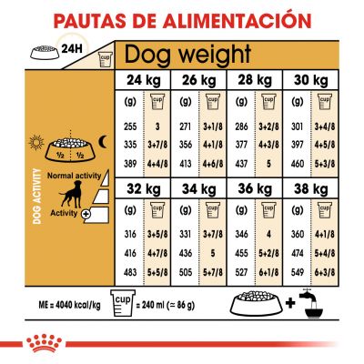 ROYAL CANIN Boxer Adult pienso para perro Boxer adulto salud cardíaca y masa muscular