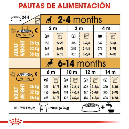 ROYAL CANIN Boxer Puppy pienso para cachorro de raza Boxer crecimiento y sistema inmunológico