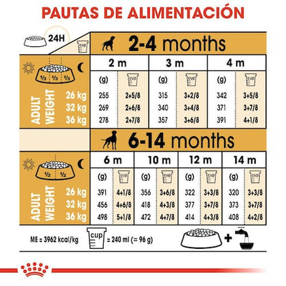 ROYAL CANIN Boxer Puppy pienso para cachorro de raza Boxer crecimiento y sistema inmunológico