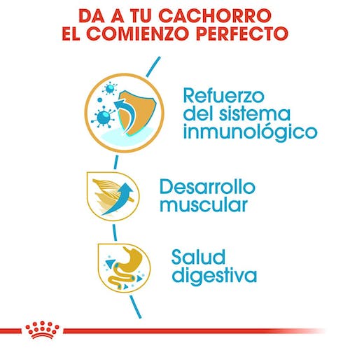 ROYAL CANIN Boxer Puppy pienso para cachorro de raza Boxer crecimiento y sistema inmunológico