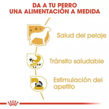 Royal Canin Chihuahua húmedo 12x85g comida perro adulto Gabo y Gordo E Shop Gran Canaria
