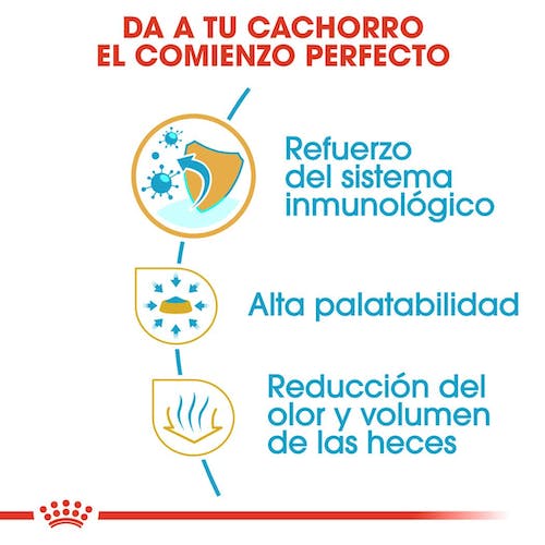 Royal Canin Chihuahua Puppy 1,5 kg pienso cachorro raza pequeña Gran Canaria Gabo y Gordo