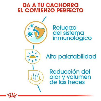 Royal Canin Chihuahua Puppy 1,5 kg pienso cachorro raza pequeña Gran Canaria Gabo y Gordo