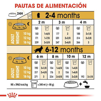 Royal Canin Cocker Puppy 3 kg pienso cachorro en Gran Canaria Gabo y Gordo E Shop